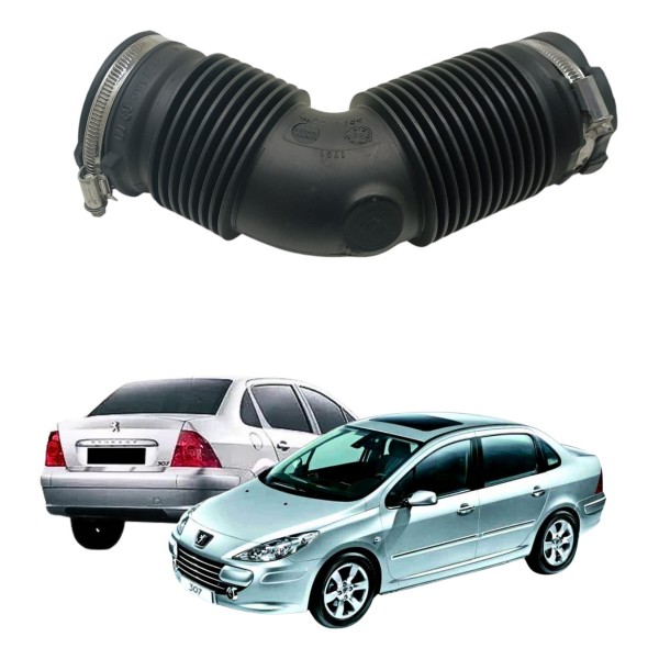 Mangueira Caixa Filtro Ar Peugeot 307 2.0 2008 2012 Usado