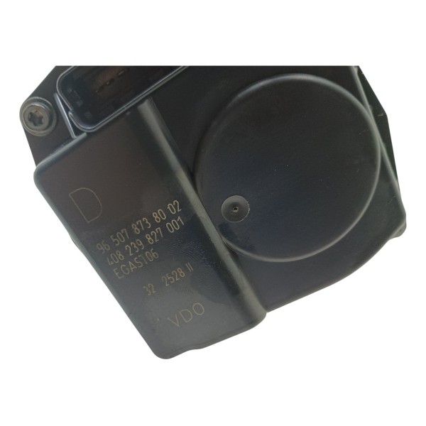 Corpo Borboleta Tbi Peugeot 307 2.0 16v 2007 2011 Usado
