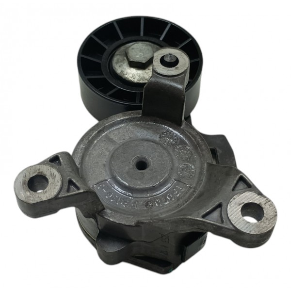 Tensor Esticador Peugeot 307 2.0 At 16v 2007 2011 Usado