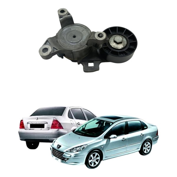 Tensor Esticador Peugeot 307 2.0 At 16v 2007 2011 Usado